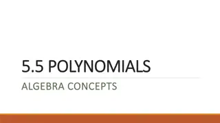 Polynomials in Algebra: Essential Concepts and Examples