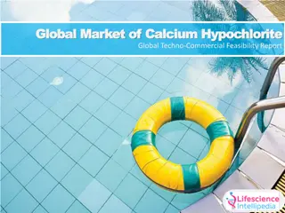 Calcium Hypochlorite Market Analysis and Feasibility Report