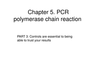 Trustworthy PCR Results: Importance of Controls in PCR