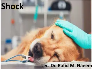 Shock: Types, Causes, and Responses