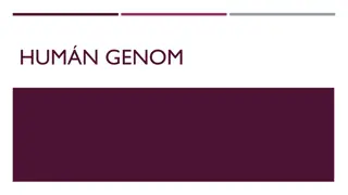 Human Genome