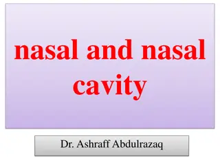 Nasal Cavity and Rhinotomy Procedures