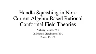 Rational Conformal Field Theories in Physics