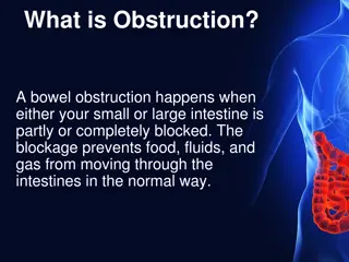 Positive Behaviour Support Framework