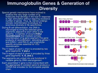 Immunoglobulin Genes & Generation of Diversity: Special Genetic Mechanisms