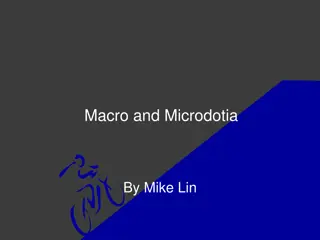 Macro and Microdotia: Causes, Types, and Impacts