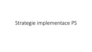 Persistent Patient Summary System Implementation Challenges