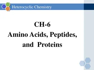 Amino Acids, Peptides, and Proteins in Heterocyclic Chemistry