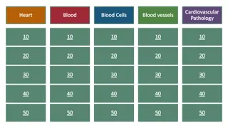 Human Heart and Blood System Pathology Overview