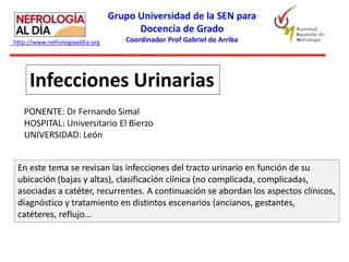 Infecciones Urinarias: Epidemiología, Factores de Riesgo y Clasificaciones