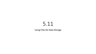 Maximizing Data Storage Efficiency: Using Files for Data Management