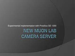 Experimental Implementation with Prosilica GE 1350 in New Muon Lab Camera Server