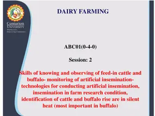 The Estrous Cycle in Dairy Farming
