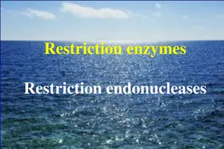 Restriction Enzymes and Their Nomenclature