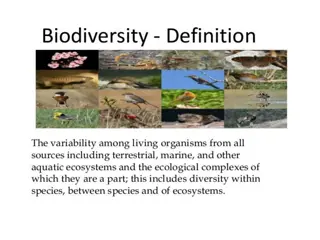 India as a Mega Diversity Nation: Exploring its Breathtaking Biodiversity