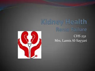 The Importance of Kidneys and Common Kidney Problems