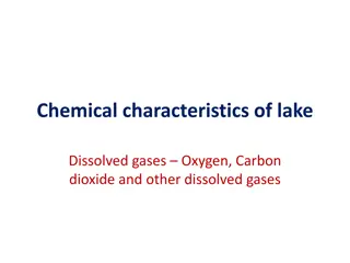 Capacity Development Workshop on Gender Statistics & Monitoring Systems