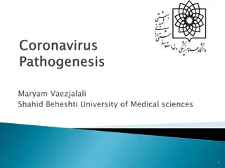 Human Coronaviruses: Insights and Origins