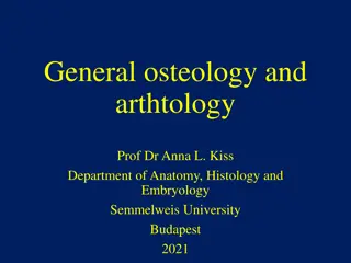 Osteology and Arthology: Bone Structure, Joint Types, and Connective Tissues