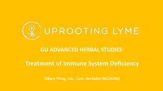 Herbal Strategies for Boosting Immune System Function