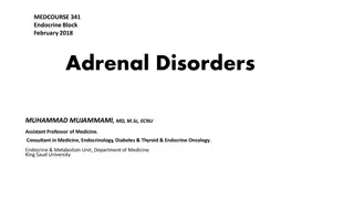Adrenal Disorders: Anatomy, Physiology, and Management