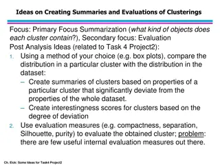 Innovative Strategies for Clustering Summaries and Evaluations