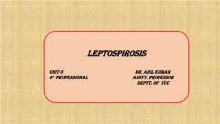 Leptospirosis: Causes, Transmission, and Pathogenesis