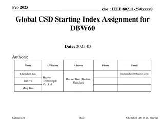 Optimizing Global CSD Index Assignment for DBW60 in IEEE 802.11-25/0xxxr0 Document