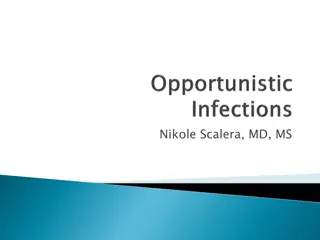 Deteriorating Renal Function in Renal Transplant Patients