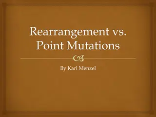 Genetic Mutations and Rearrangements in Comparative Genomics