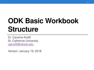 Workbook Structure for ODK: Excel Tips for Form Creation