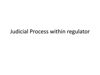 Regulatory Bodies and Judicial Process in Governance