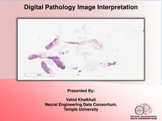 Digital Pathology Image Interpretation: Process, Challenges, and Plans