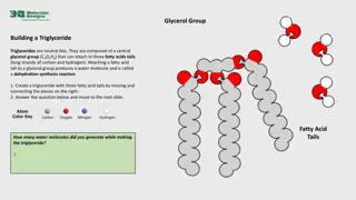 Building Triglycerides and Phospholipids: A Molecular Exploration