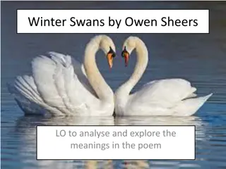 Exploring Meanings in Owen Sheers' Winter Swans Poem
