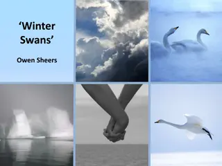 Analyzing Relationship Dynamics in Owen Sheers' Winter Swans