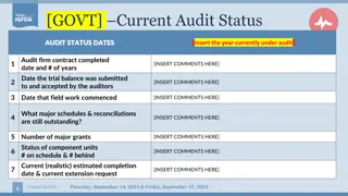 Government Audit Process and Performance Overview