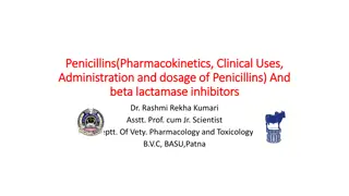 Pharmacokinetics, Clinical Uses, and Administration of Penicillins in Veterinary Pharmacology