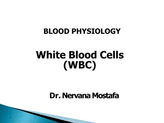 White Blood Cells in Blood Physiology