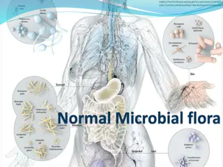 Microbial Flora and Symbiotic Relationships