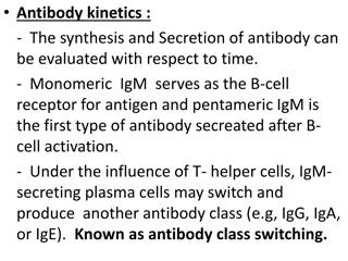 Antibody Kinetics and Responses