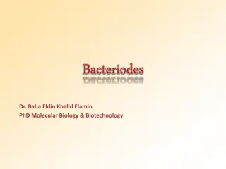 Anaerobic Bacteria: Pathogens and Mechanisms