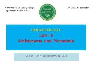 Parasitology: Schistosoma, Nematoda, and Diagnosis Methods