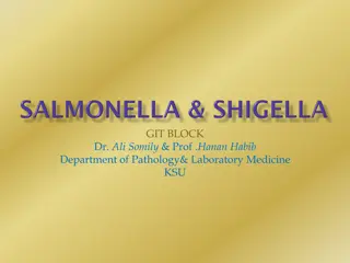 Salmonella Typhi: Pathology, Symptoms, and Treatment