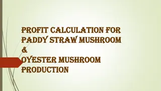 Paddy Straw and Oyster Mushroom Production Economic Analysis