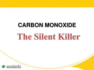 Carbon Monoxide: The Silent Killer - Facts, Sources, and Protection Tips