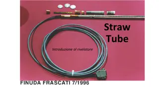 Straw Tube Detectors in Particle Physics