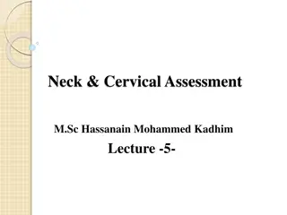 Comprehensive Neck and Cervical Assessment Guidelines