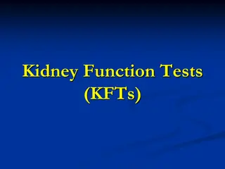 Kidney Function Tests Overview