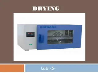 The Importance of Drying in Material Processing